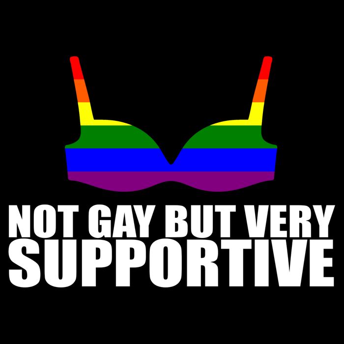 Not Gay But Very Supportive Boobs Women's V-Neck T-Shirt