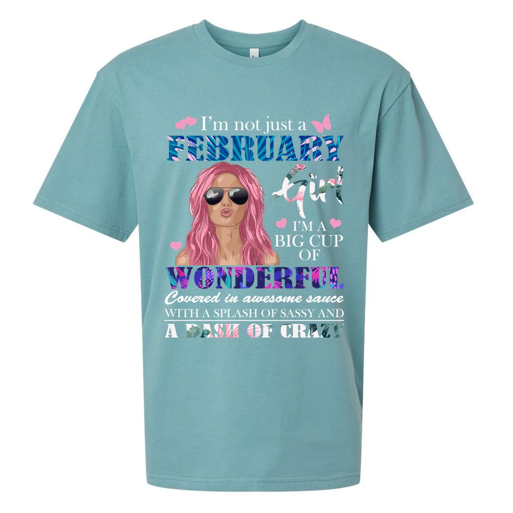 Not Just A February Girl Wonderful Sassy Birthday  Sueded Cloud Jersey T-Shirt