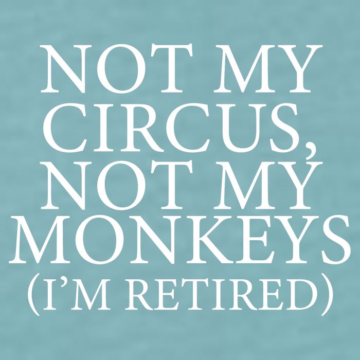 Not My Circus Not My Monkeys I'm Retired Sueded Cloud Jersey T-Shirt