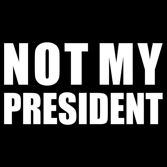 Not My President Classic Logo Wool Snapback Cap