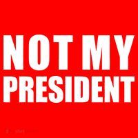Not My President Classic Logo Sweatshirt