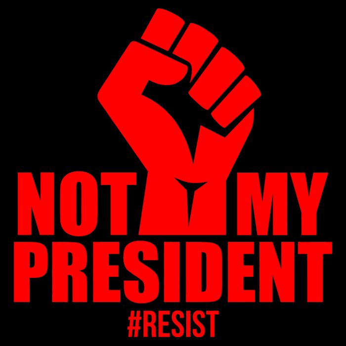 Not My President Resist Anti Trump Fist Flatbill Hat