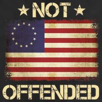 Not Offended Betsy Ross Flag Adult Drive Performance Visor
