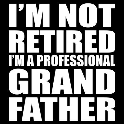 Not Retired I'm A Professional Grandfather T-Shirt