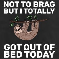 Not To Brag Got Out of Bed 7 Panel Mesh Trucker Snapback Hat