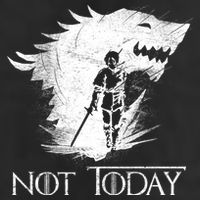 Not Today Arya Wolf Adult Drive Performance Visor