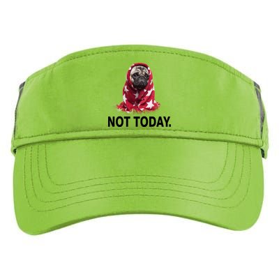 Not Today Funny Pug Adult Drive Performance Visor