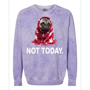 Not Today Funny Pug Colorblast Crewneck Sweatshirt