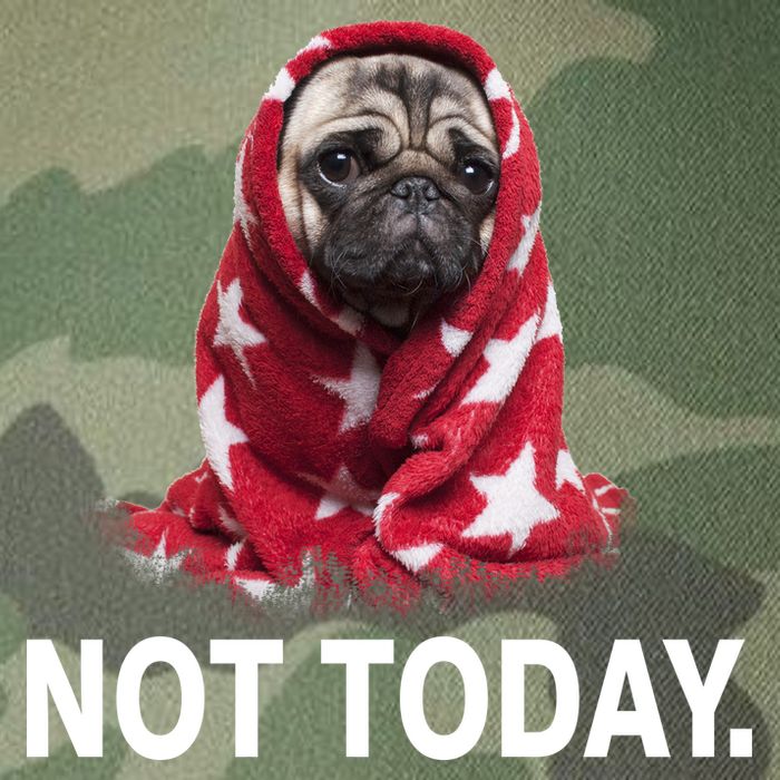 Not Today Funny Pug Legacy Tie Dye Trucker Hat