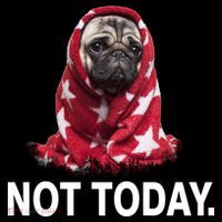 Not Today Funny Pug High Crown Mesh Back Trucker Hat