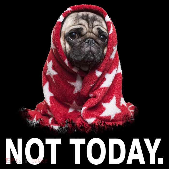 Not Today Funny Pug High Crown Mesh Back Trucker Hat