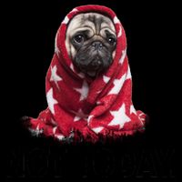 Not Today Funny Pug 16oz Travel Tumbler