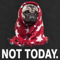 Not Today Funny Pug Tumbler