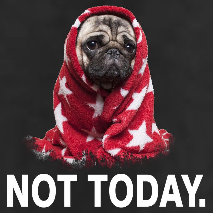 Not Today Funny Pug Trucker Hat