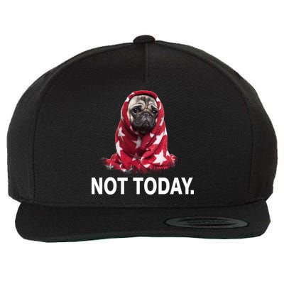 Not Today Funny Pug Wool Snapback Cap