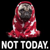 Not Today Funny Pug Wool Snapback Cap