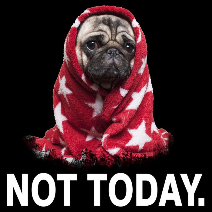 Not Today Funny Pug Wool Snapback Cap