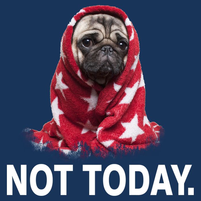 Not Today Funny Pug Drawstring Bag
