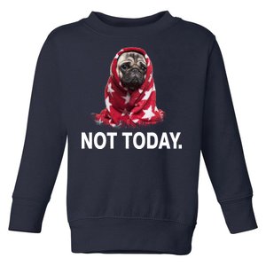 Not Today Funny Pug Toddler Sweatshirt