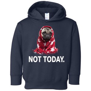 Not Today Funny Pug Toddler Hoodie