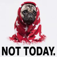 Not Today Funny Pug Garment-Dyed Sweatshirt