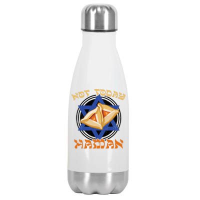 Not Today Haman  Stainless Steel Insulated Water Bottle