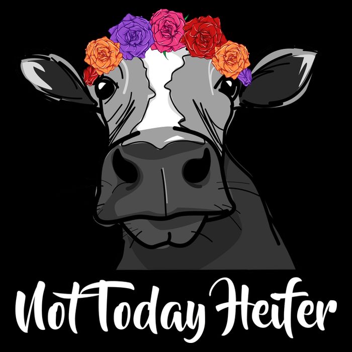 Not Today Heifer Cropped Pullover Crew