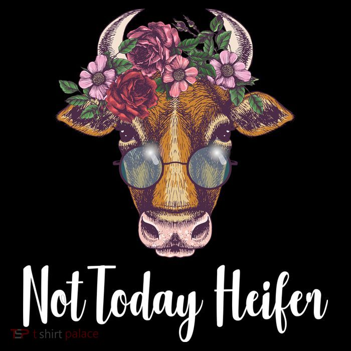 Not Today Heifer Funny Poster
