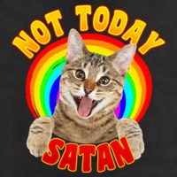 Not Today Satan Funny Cat Rainbow 15oz Campfire Ceramic Mug