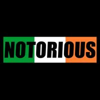 Notorious Box Logo RBG R.B.G. Apron