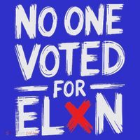 No One Voted For Elon Nobody Elected Elon Women's V-Neck T-Shirt