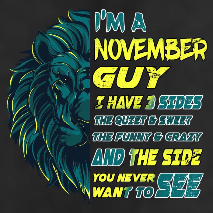 November Birthday Guy Has 3 Sides Sweet Funny Crazy  7 Panel Mesh Trucker Snapback Hat