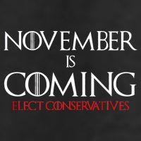 November is Coming Elect Conservatives Election Adult Drive Performance Visor