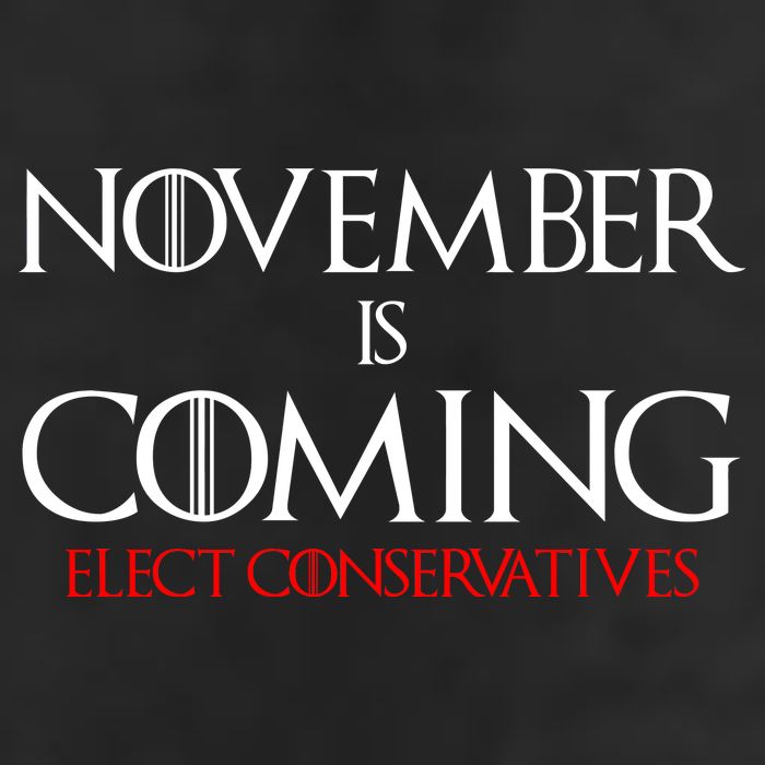 November is Coming Elect Conservatives Election Adult Drive Performance Visor