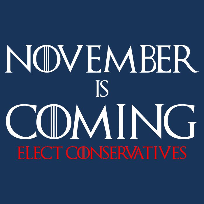 November is Coming Elect Conservatives Election 16 in Basic Backpack