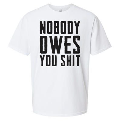 Nobody Owes You Shit Funny Sueded Cloud Jersey T-Shirt