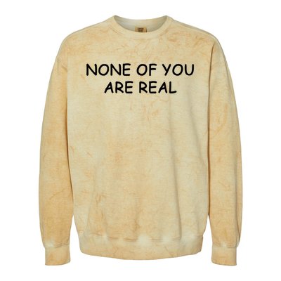 None Of You Are Real Colorblast Crewneck Sweatshirt