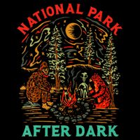National Park After Dark Funny Cooling Performance Crew T-Shirt