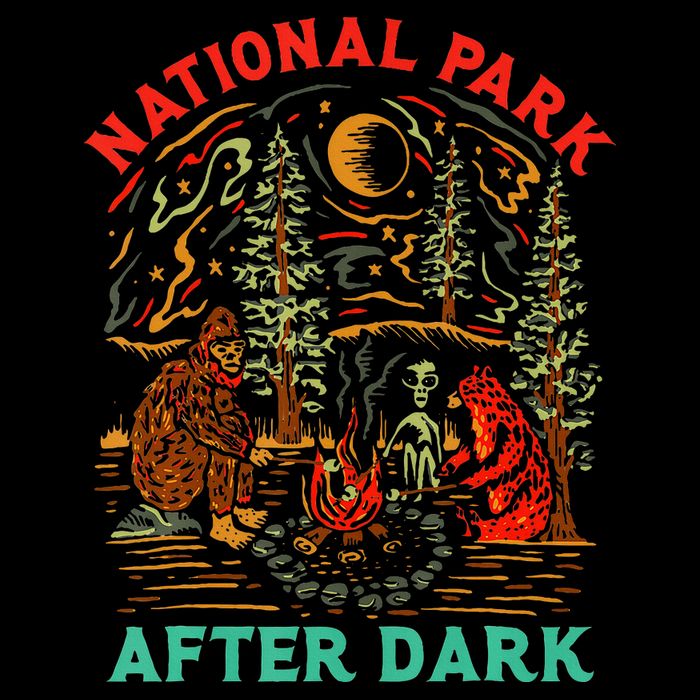 National Park After Dark Funny Cooling Performance Crew T-Shirt