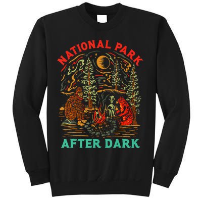 National Park After Dark Funny Sweatshirt