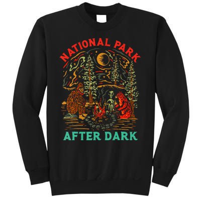 National Park After Dark Funny Sweatshirt