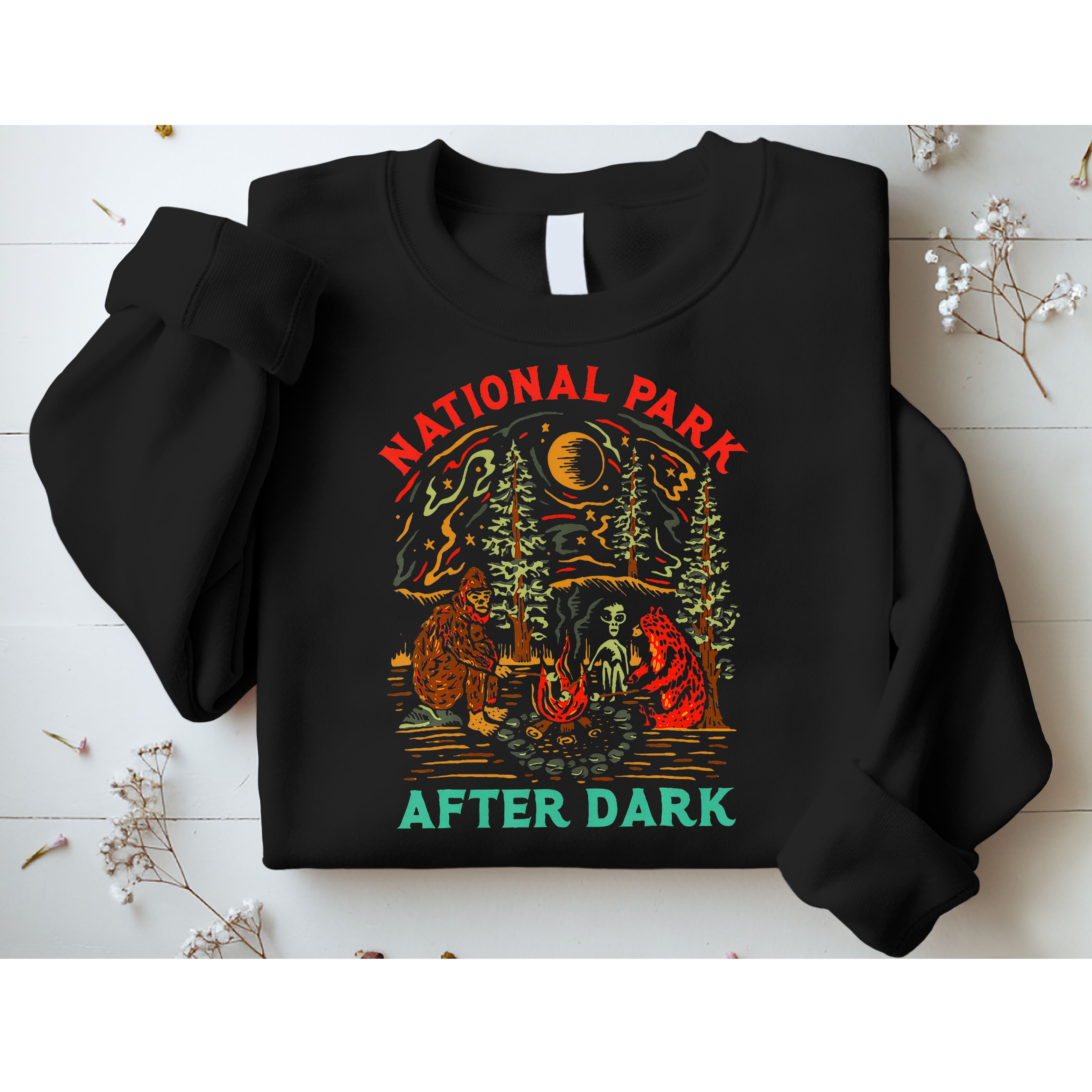 National Park After Dark Funny Sweatshirt