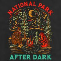 National Park After Dark Funny Adult Drive Performance Visor