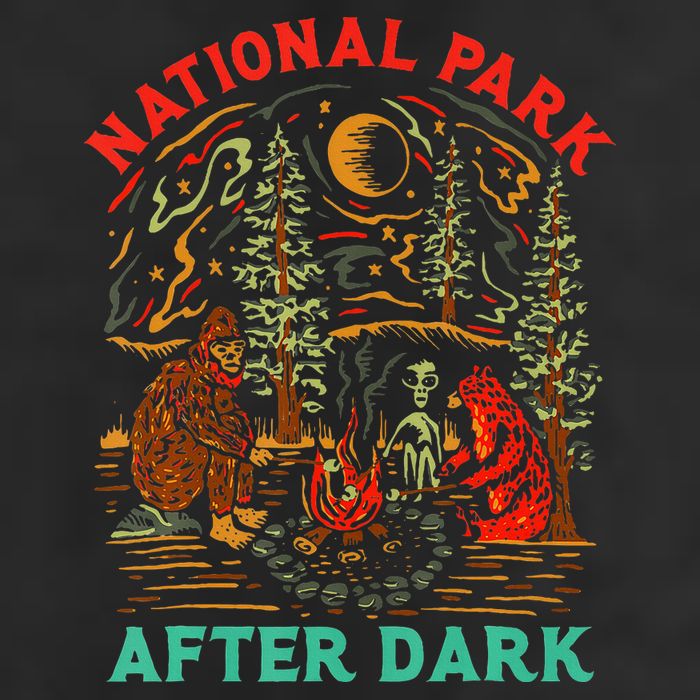 National Park After Dark Funny Adult Drive Performance Visor