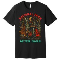 National Park After Dark Funny Premium T-Shirt