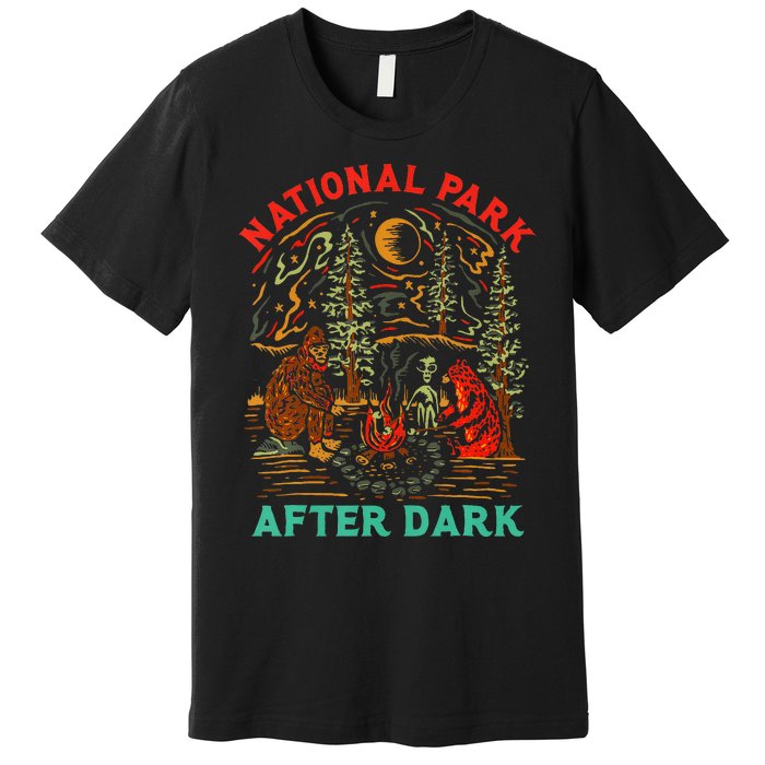 National Park After Dark Funny Premium T-Shirt