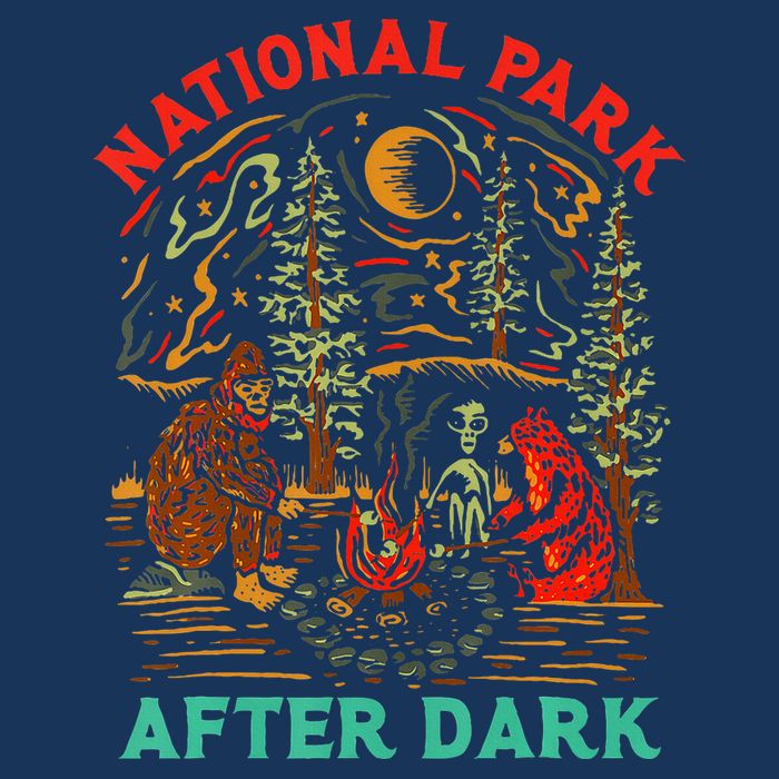 National Park After Dark Funny Infant Baby Jersey Bodysuit
