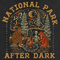 National Park After Dark 7 Panel Mesh Trucker Snapback Hat