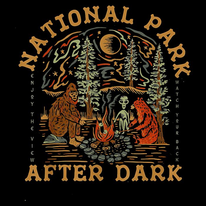 National Park After Dark 16 in Basic Backpack