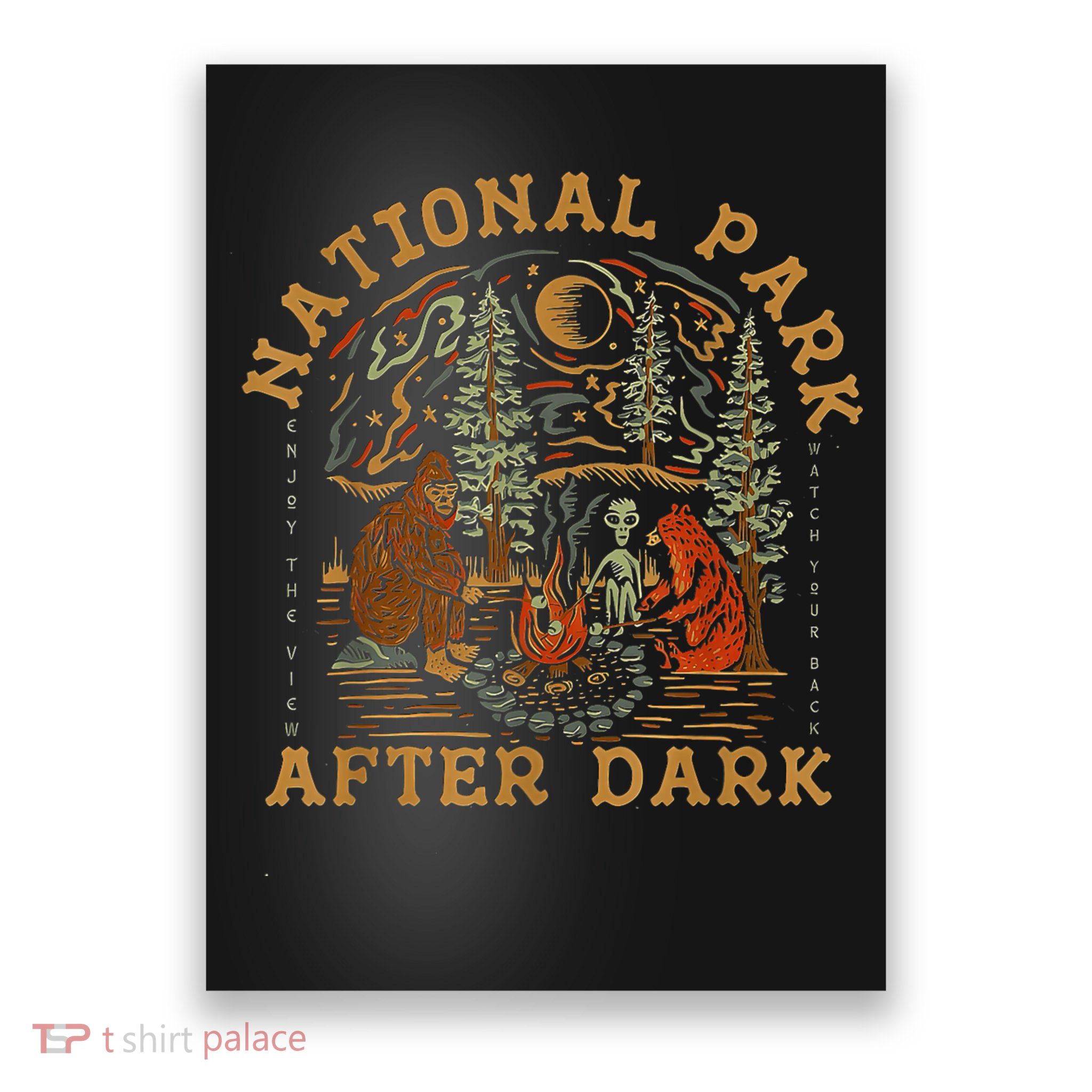 National Park After Dark Poster